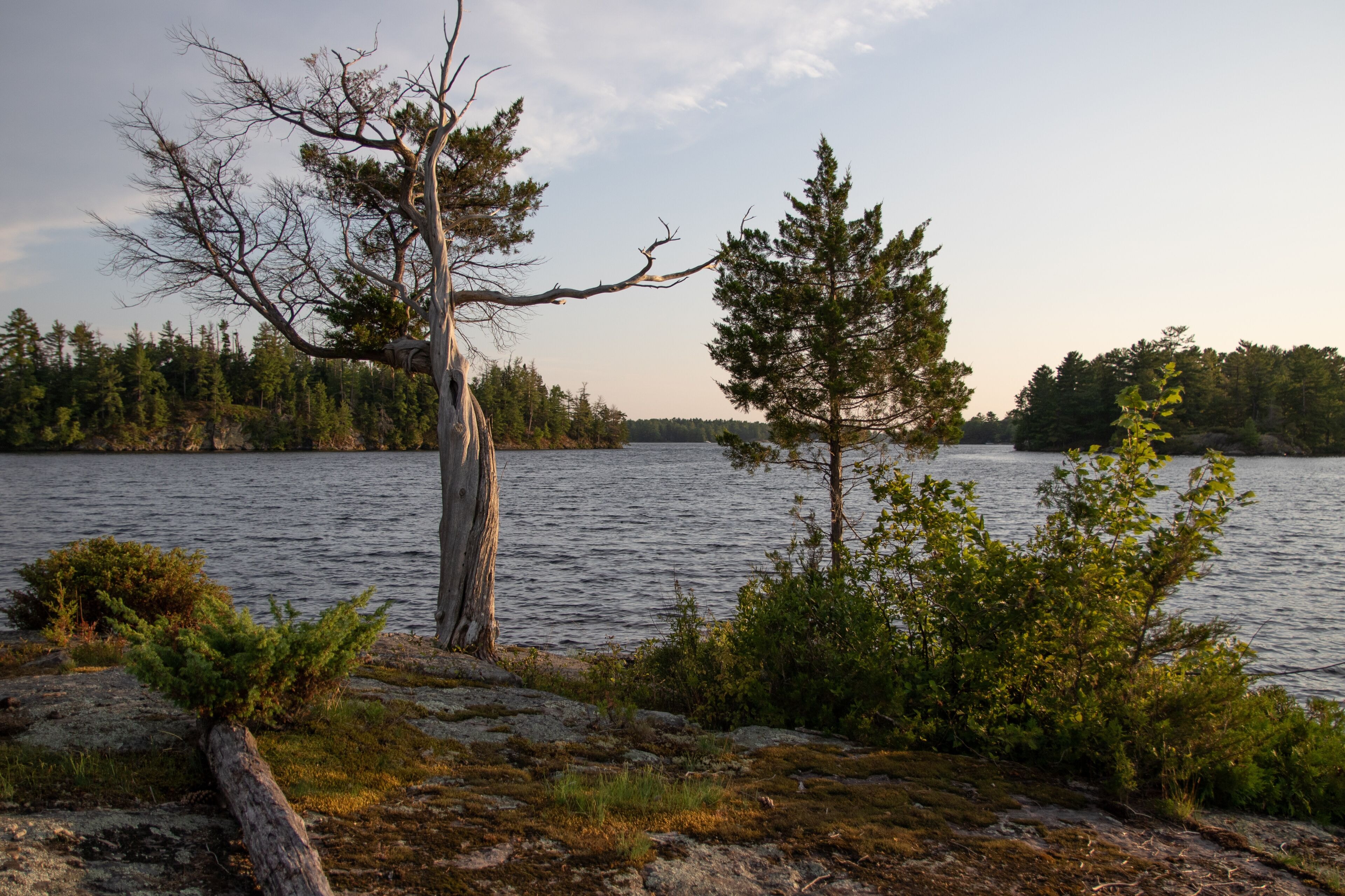Trent Lakes, Ontario